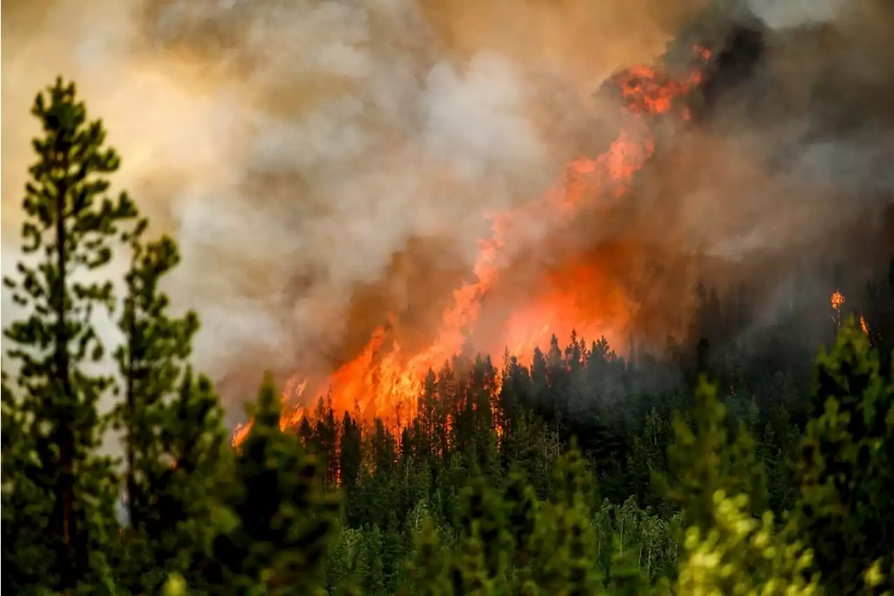 Third firefighter dies battling massive blazes in Canada