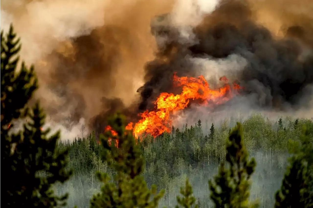 US wildfire crosses over, evacuation ordered for Canadian town