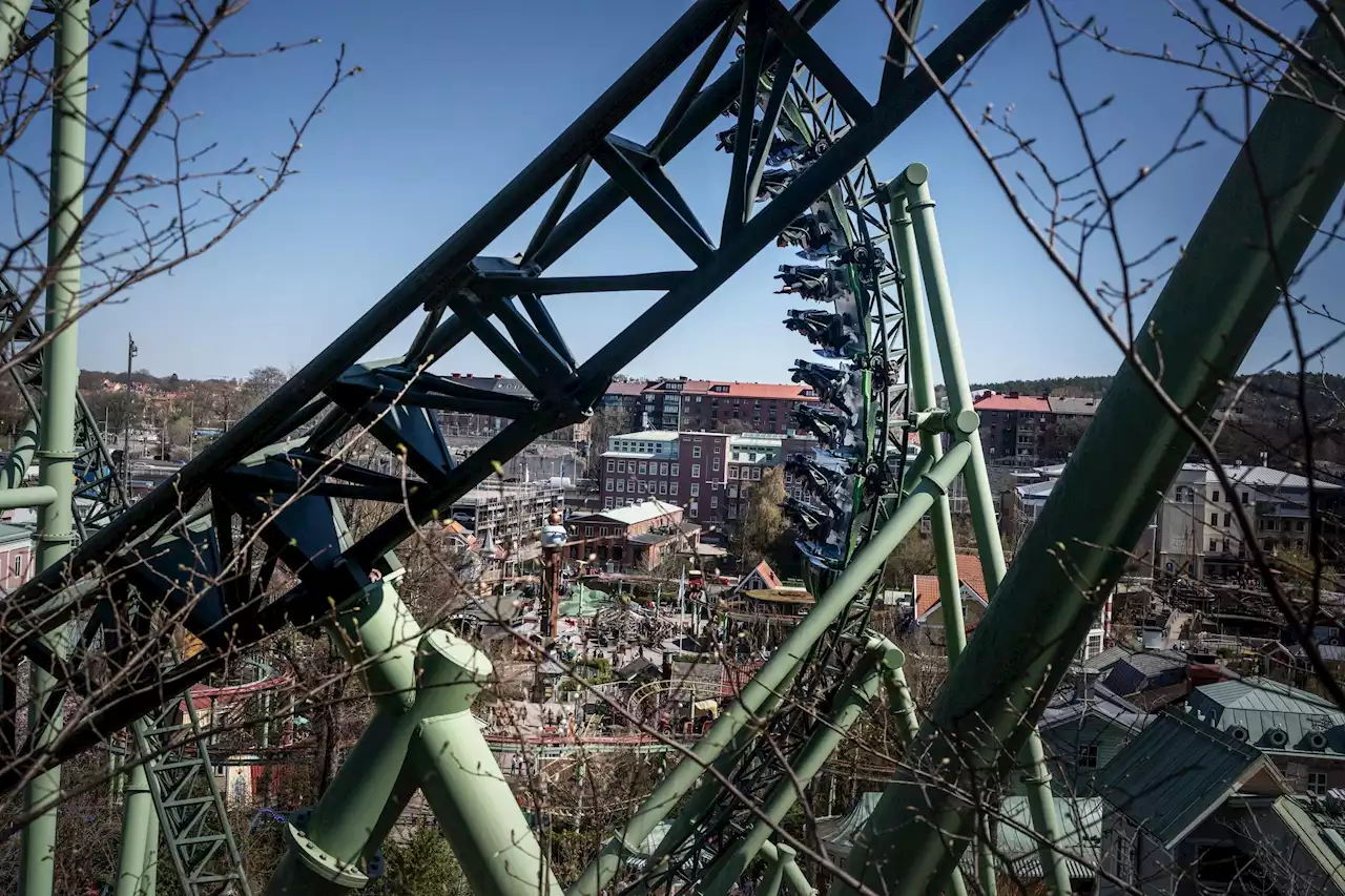 Fria ord: Liseberg inte så dyrt om man jämför