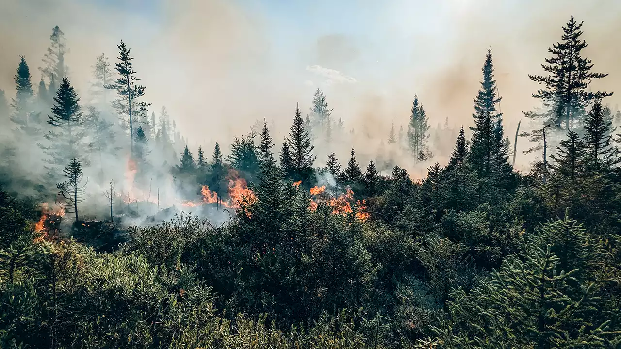 Third firefighter dies battling massive blazes in Canada | The Guardian Nigeria News - Nigeria and World News