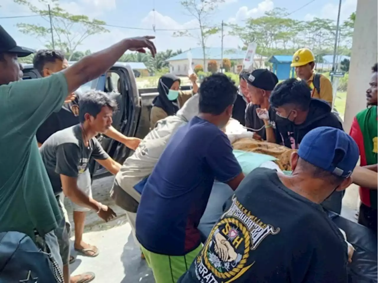 Sejam dalam Gigitan Buaya, Seorang Ibu di Ketapang Bisa Lolos