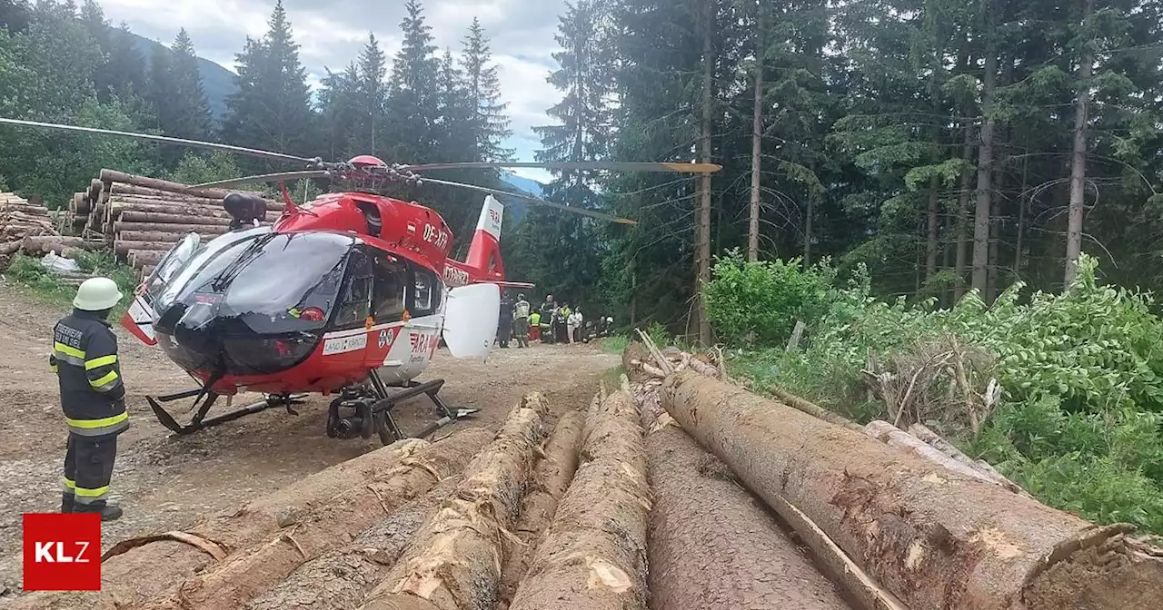 In Liezen: Forstarbeiter wurde in Admont von Baum getroffen und schwer verletzt