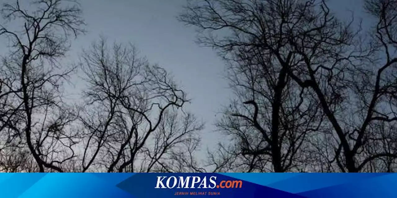 44 Desa di Grobogan Alami Krisis Air akibat Kemarau Panjang