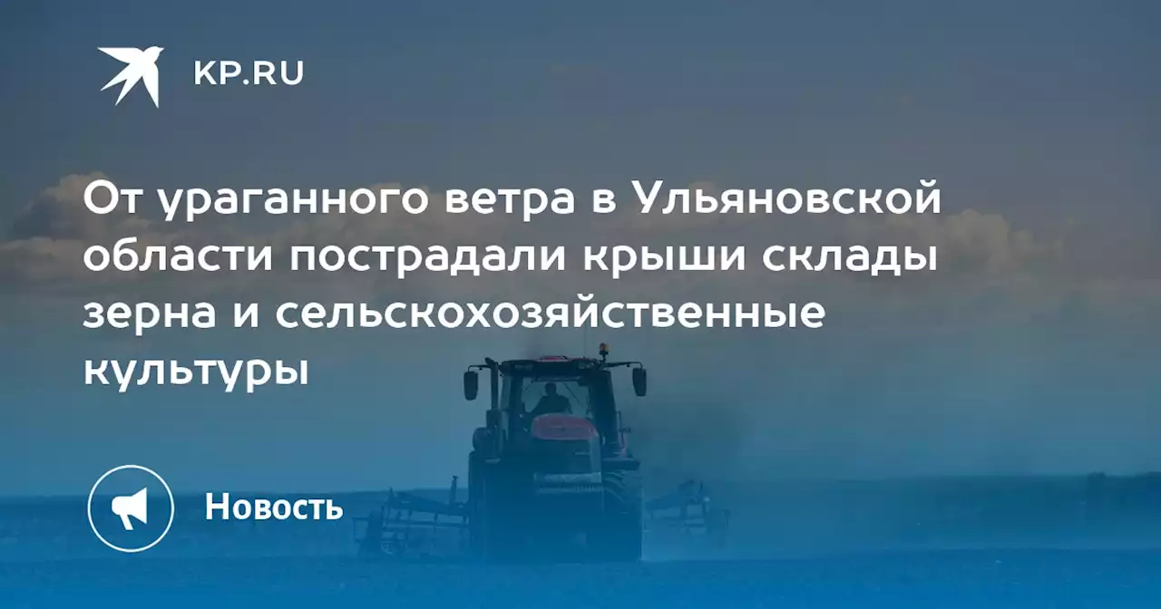 От ураганного ветра в Ульяновской области пострадали крыши склады зерна и сельскохозяйственные культуры