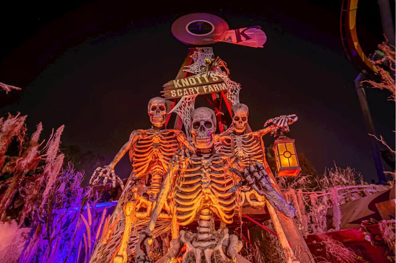 Knott’s Scary Farm announces spooky 50th anniversary preview on Aug. 24