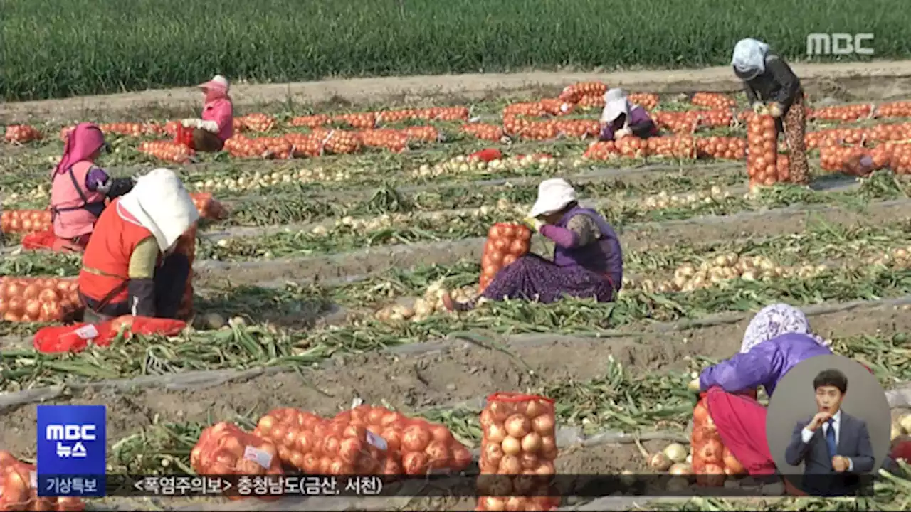 온열질환 사망 잇따라‥오늘도 불볕더위