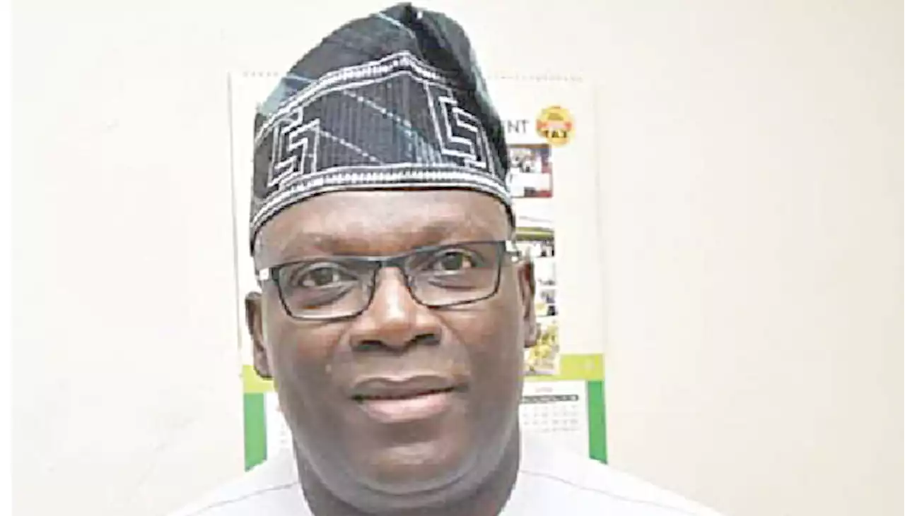 Another panel of inquiry, a distraction – Lagos APC spokesman - Punch Newspapers