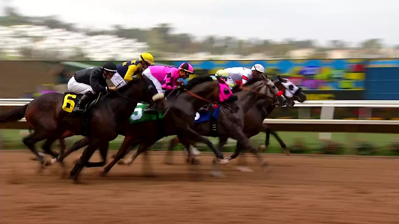 Two horses die at California’s Del Mar Racetrack, first deaths of summer racing season