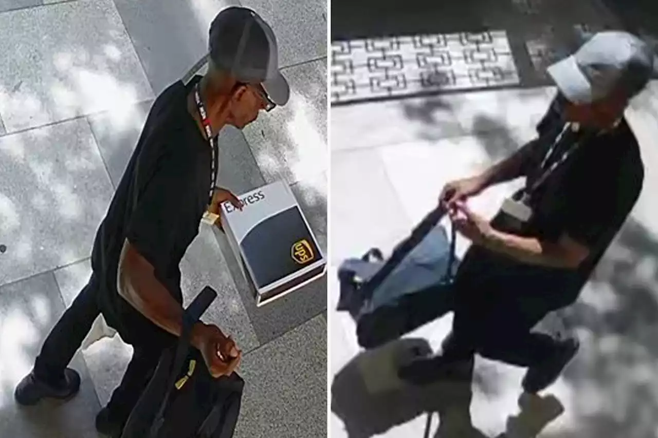 Mugger posing as UPS delivery man beats woman with weighted sock, robs her of $25 in NYC building: cops