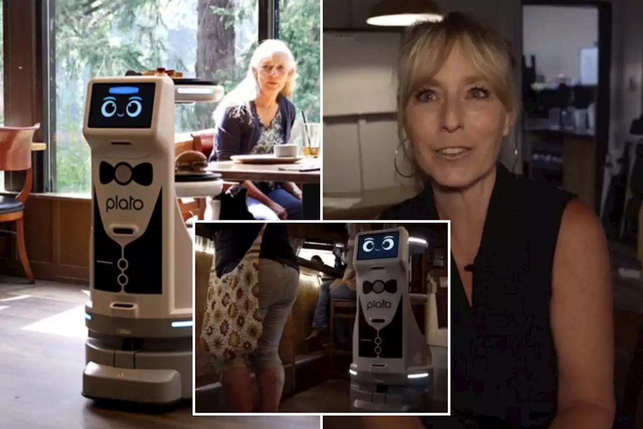 Small town restaurant’s robot waiter enrages locals, drives customers away: ‘I will never go there again’