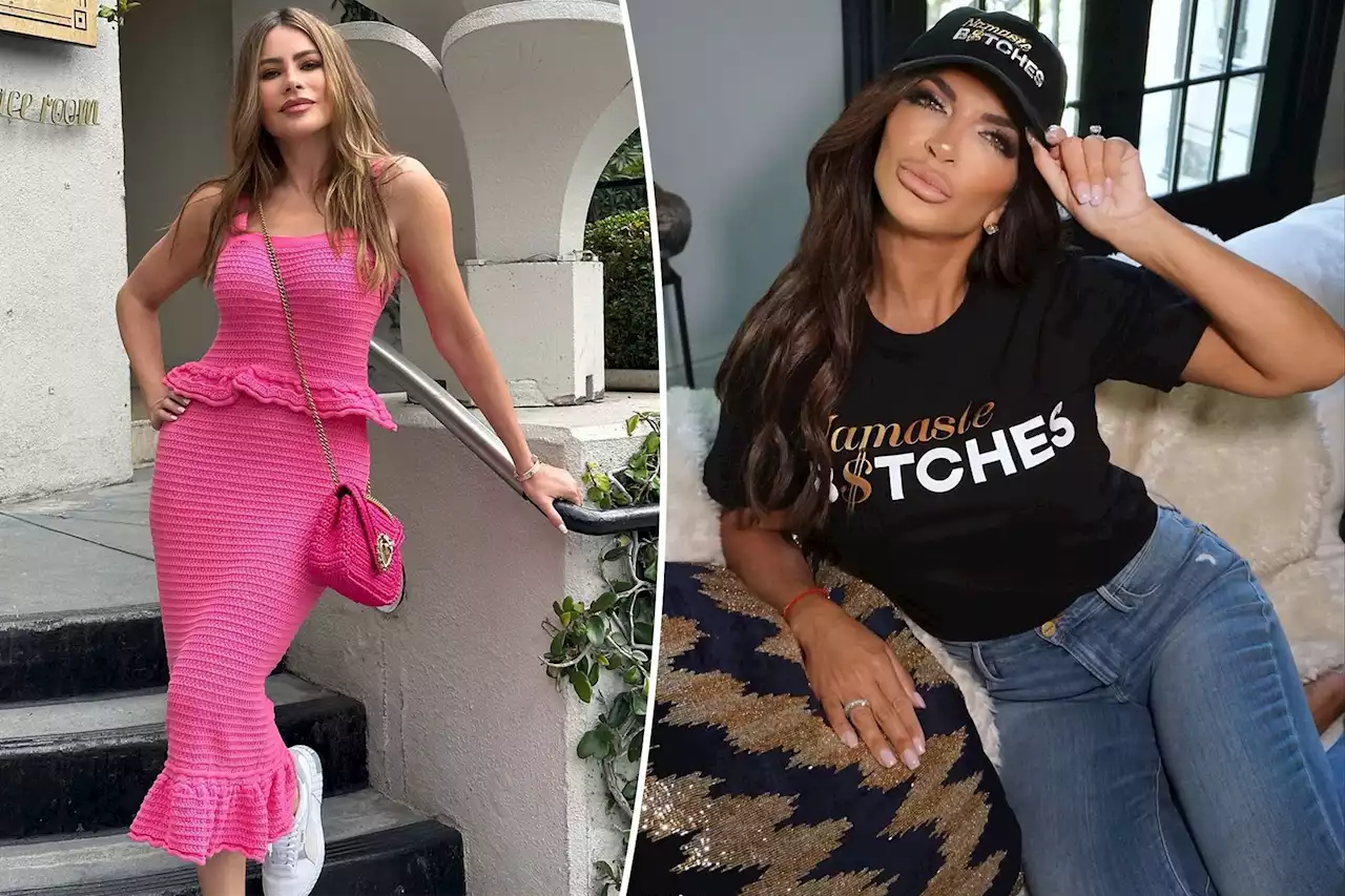 Teresa Giudice calls Sofía Vergara the ‘rudest’ celebrity she’s ever met