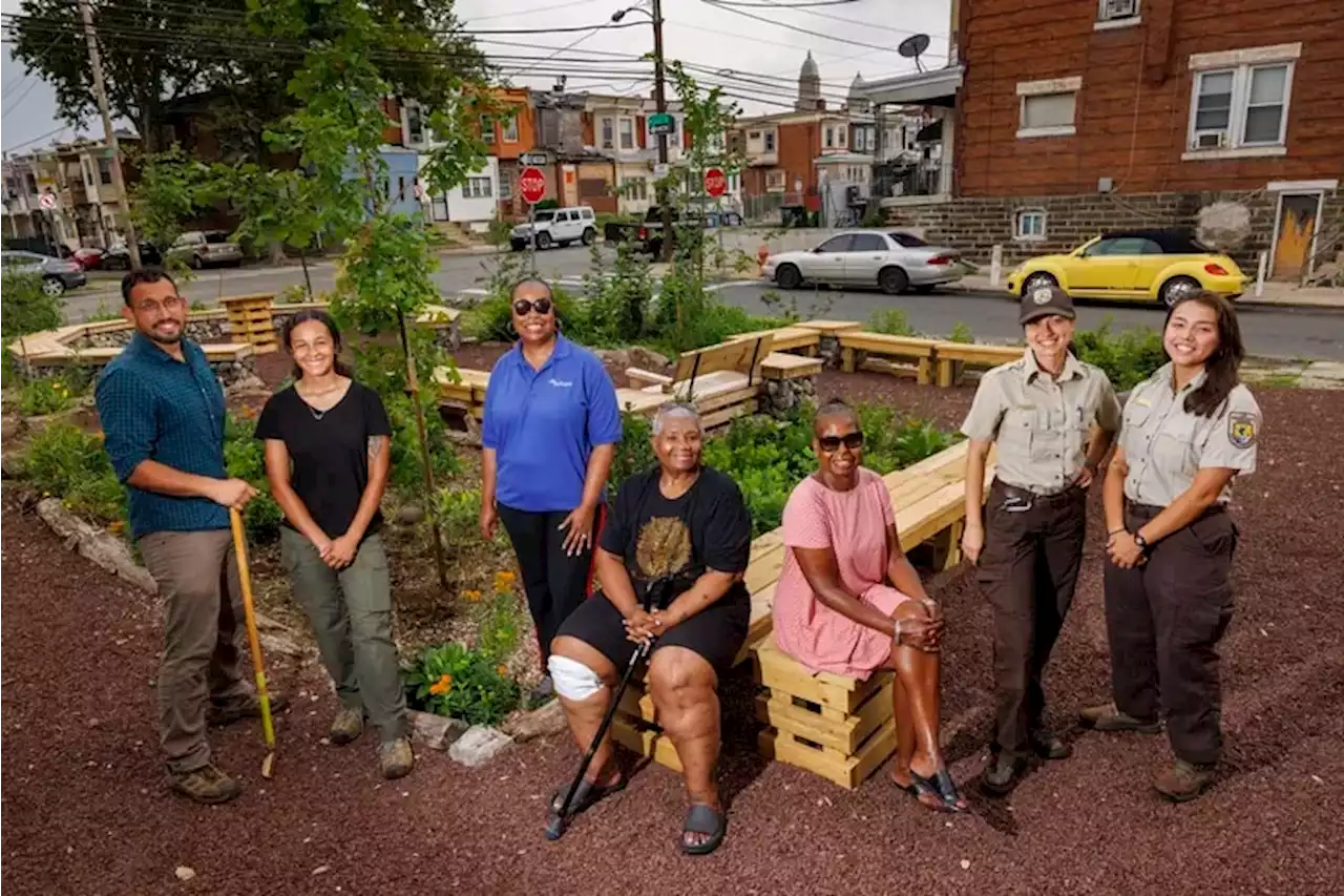 In Philly’s Pollinator Network, the birds and the bees have our backs, too