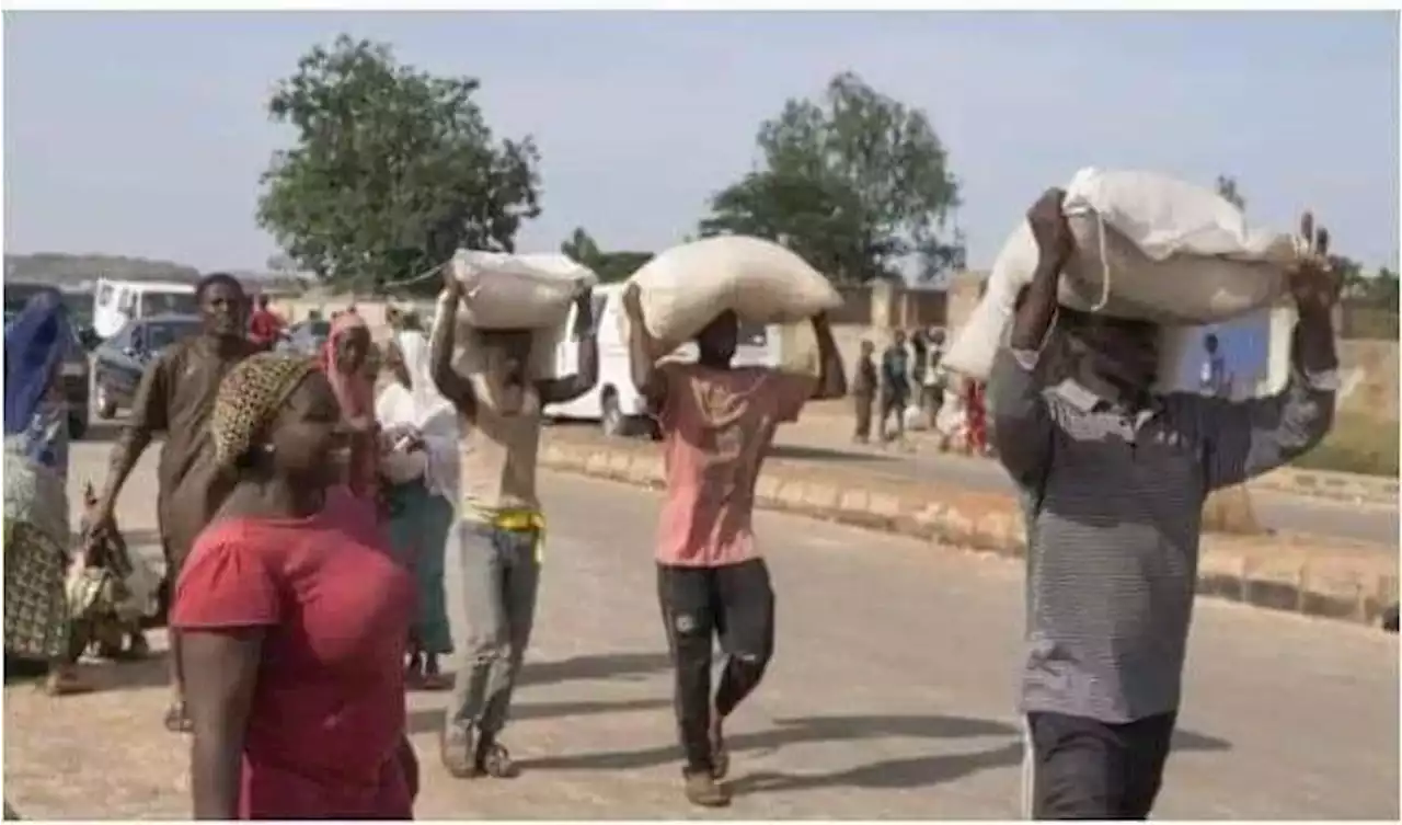 Police arrest 44 suspected looters in Adamawa