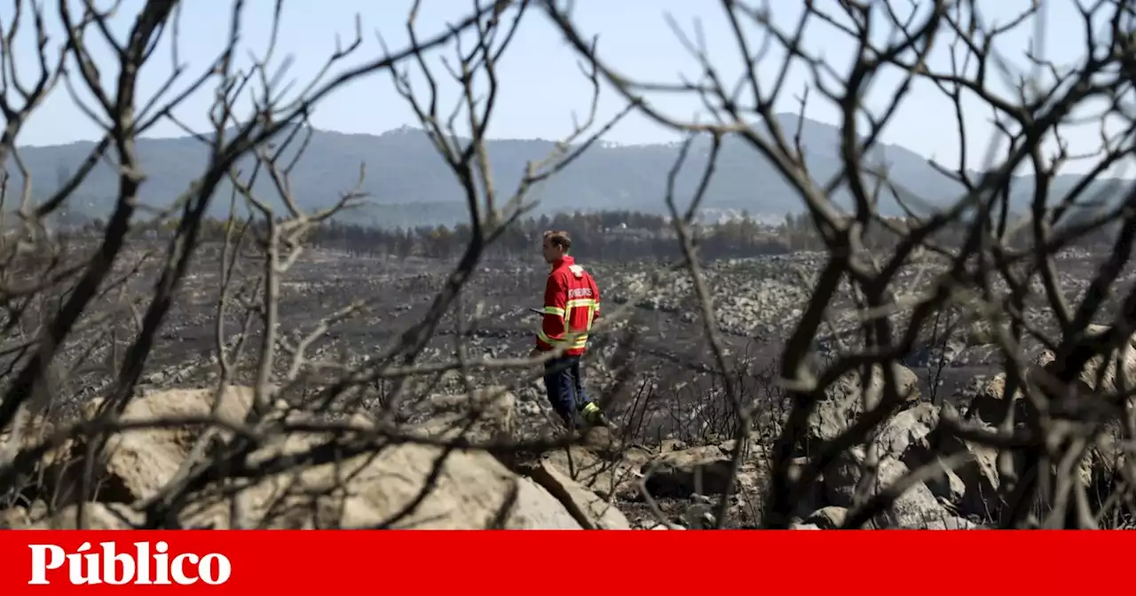 Incêndios: Menos 27% de fogos rurais e menos 70% de área ardida em 2023