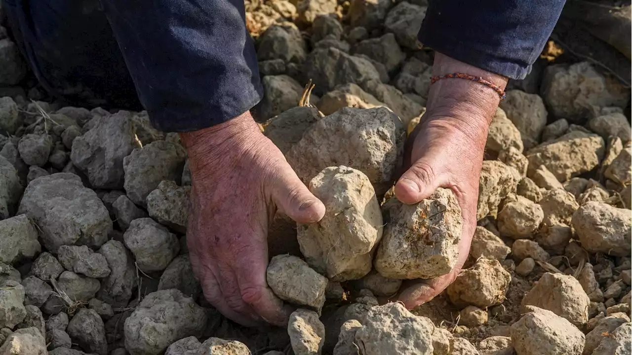 Eventi estremi ed effetti sul cibo. Il Sud del mondo paga il conto