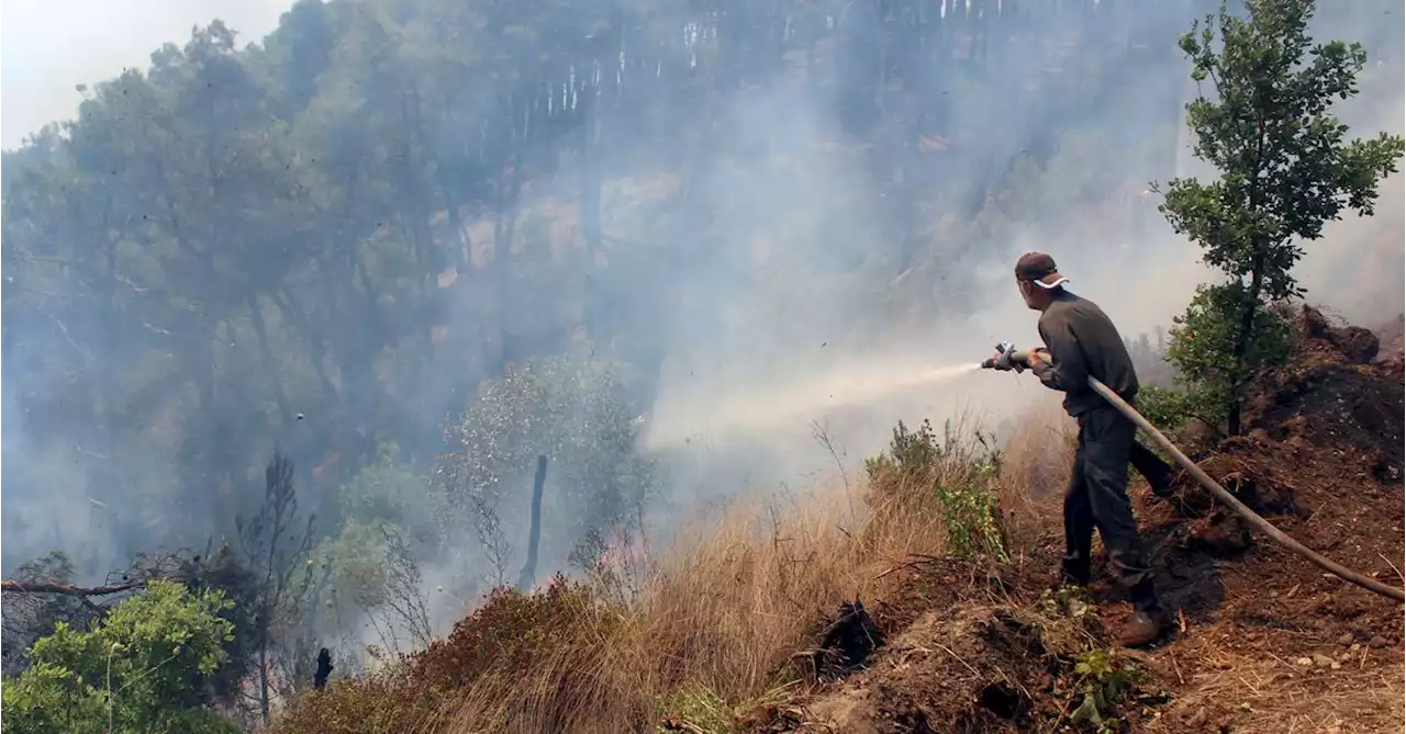 After quake, Syria's northern coast ravaged by wildfires