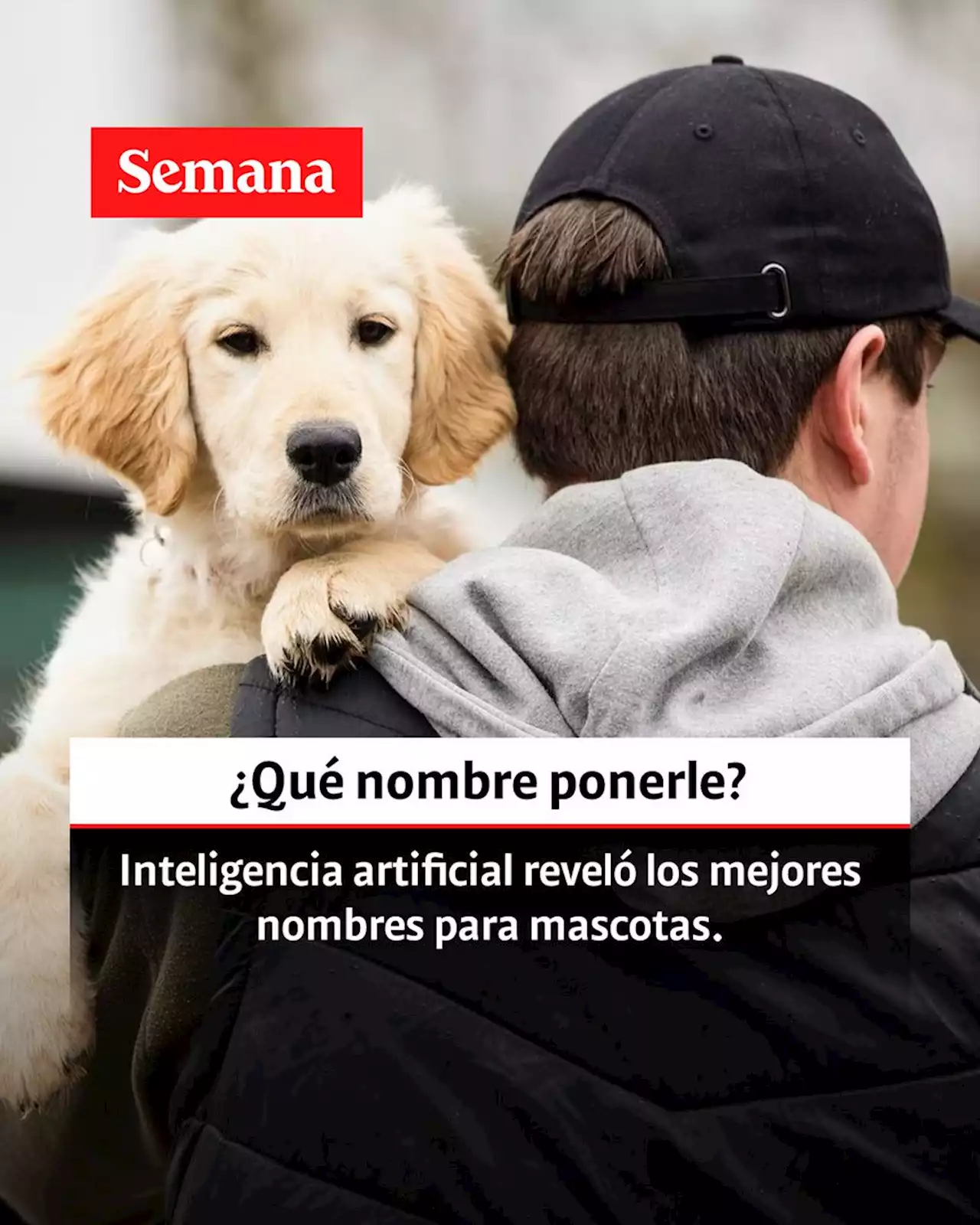 Inteligencia artificial revela cuáles son los mejores nombre para ponerle a su mascota