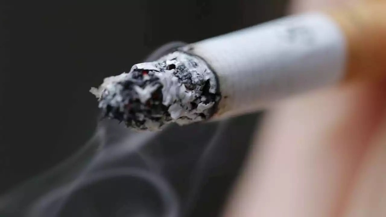 SAMRC supports passing of new tobacco bill - SABC News