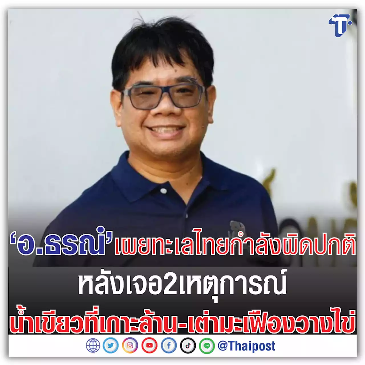 'อ.ธรณ์' เผยทะเลไทยกำลังผิดปกติ หลังเจอ 2 เหตุการณ์น้ำเขียวที่เกาะล้าน - เต่ามะเฟืองวางไข่