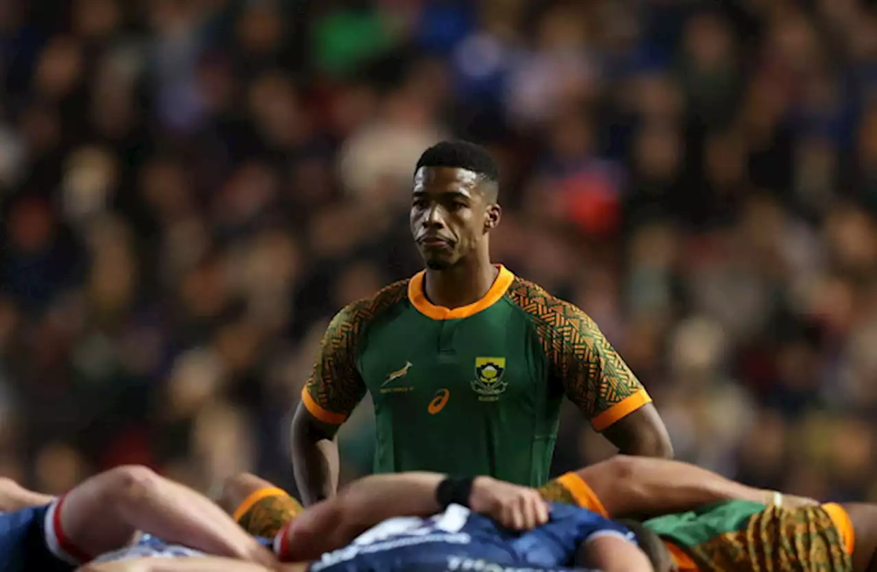 Springboks provide update after Williams concussed 10 seconds into Pumas game