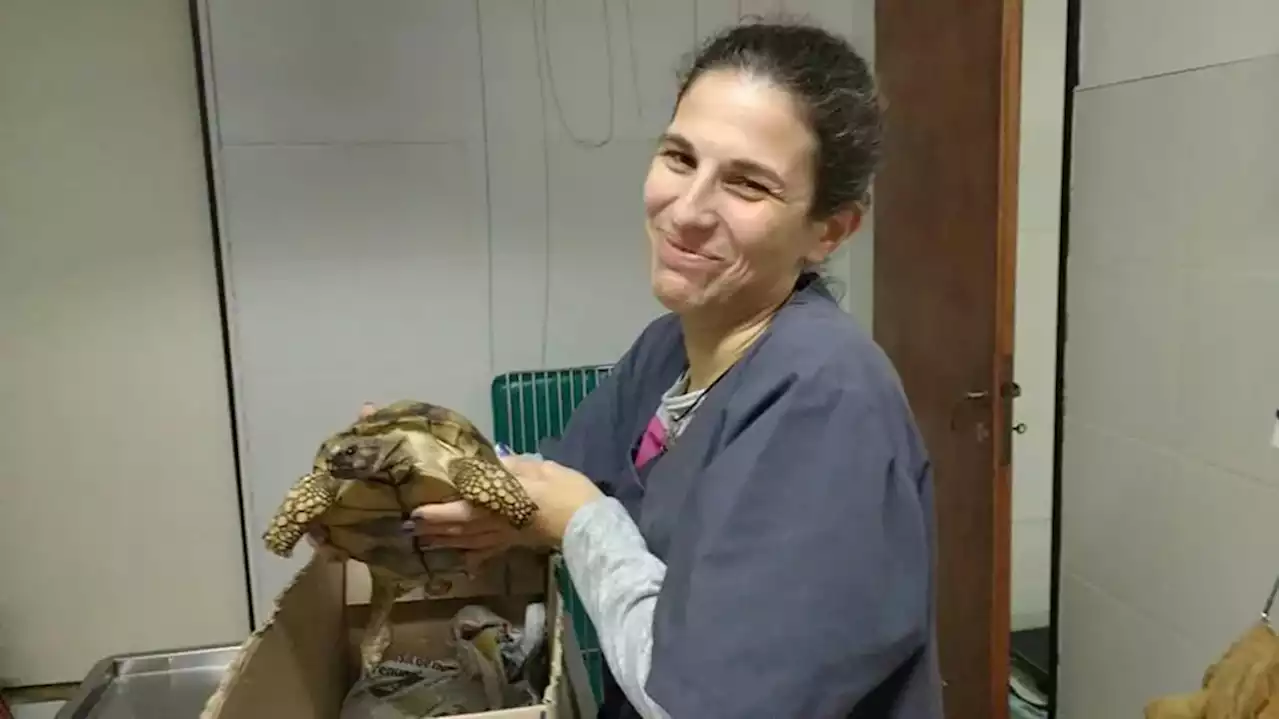 Emprendedora por elección, veterinaria de vocación: quién era la argentina que murió en pleno vuelo