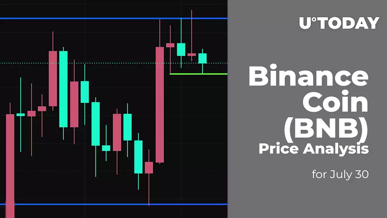 Binance Coin (BNB) Price Analysis for July 30