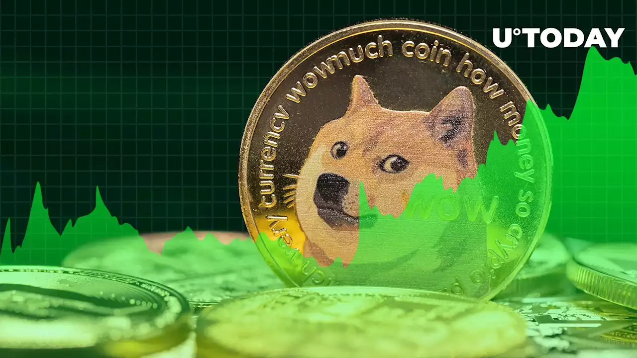 Shiba Inu Suddenly Surges 5%, Outperforms Other Major Altcoins