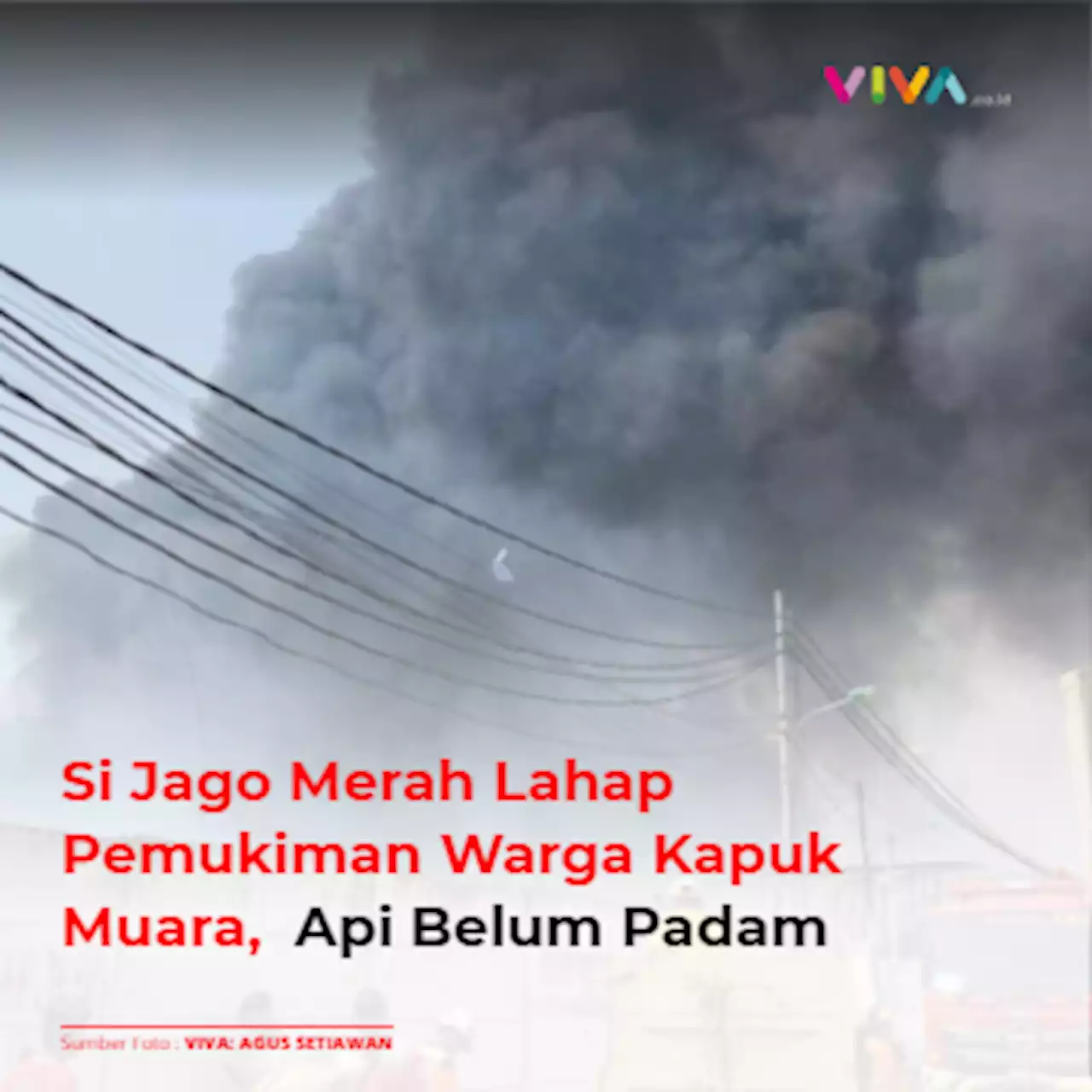 Si Jago Merah Lahap Pemukiman Warga Kapuk Muara, Api Belum Padam | Halaman 2