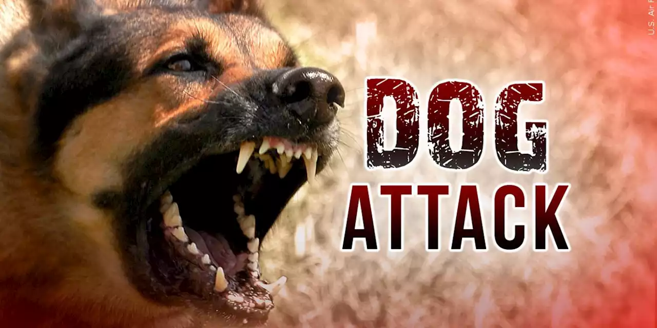 Vicious dogs attack, kill Dale County man