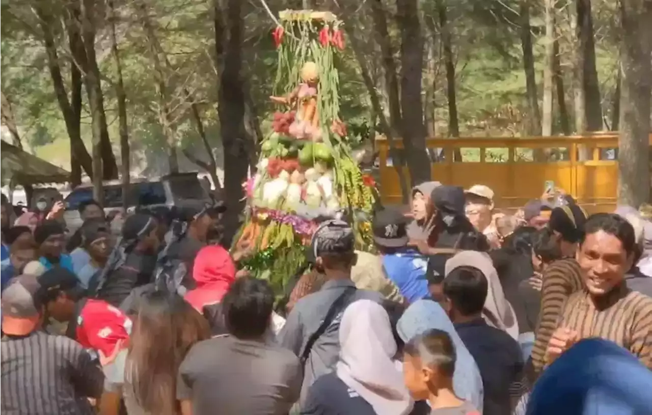 Wisatawan Ikut Berburu Tumpeng Sedekah Bumi di Pantai Gemah