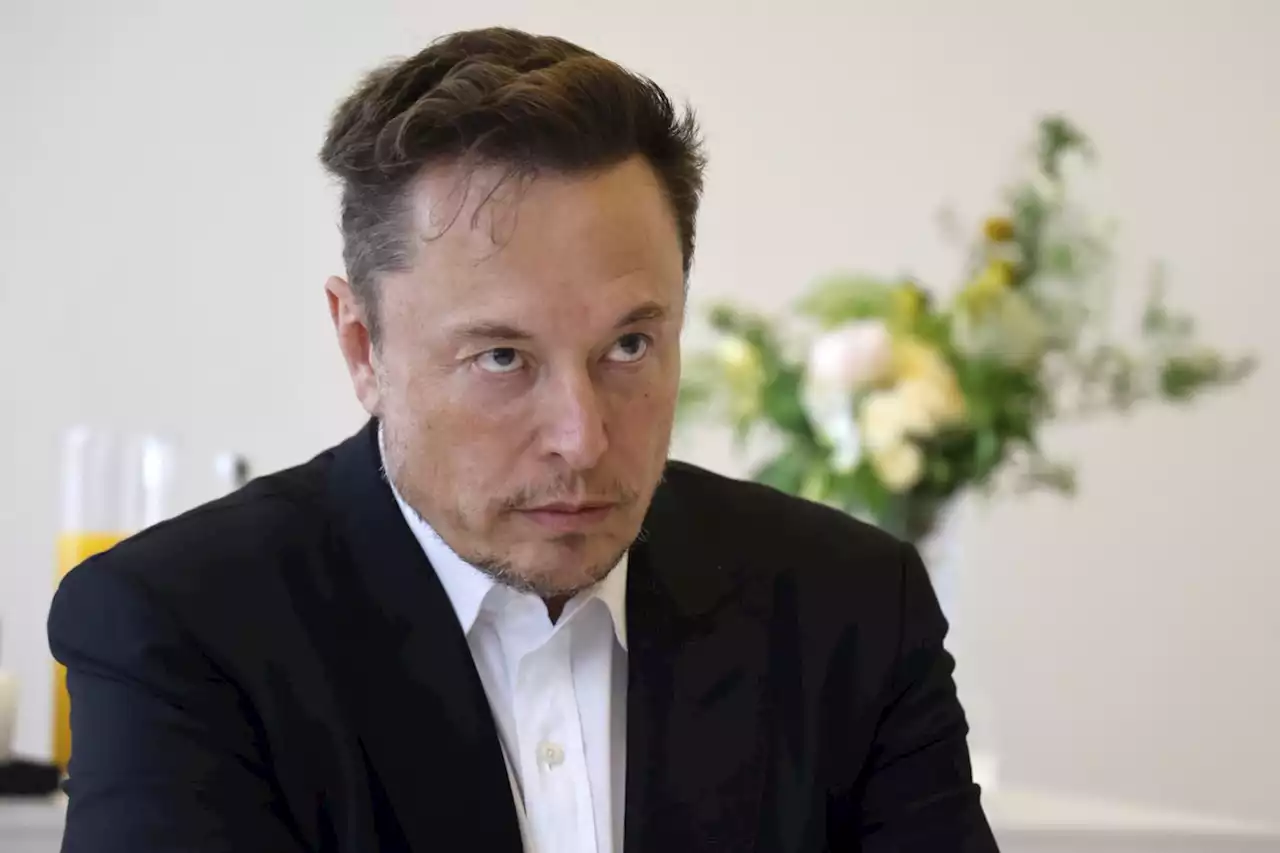 Musk muss neue Profitabilitätstreiber finden | Börsen-Zeitung