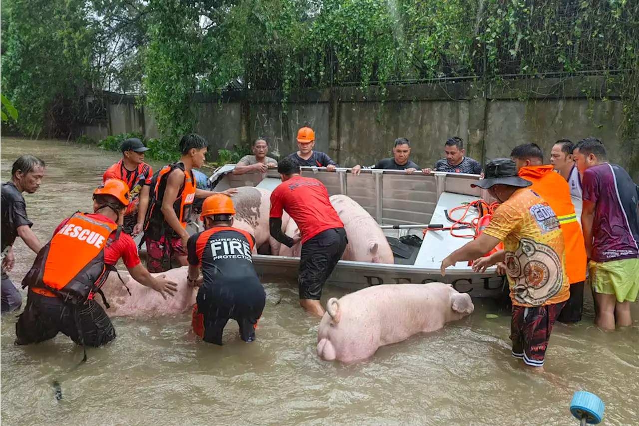 ‘Serious concerns’: Neda outlines impact of typhoons, flooding on PHL economy | Cai U. Ordinario