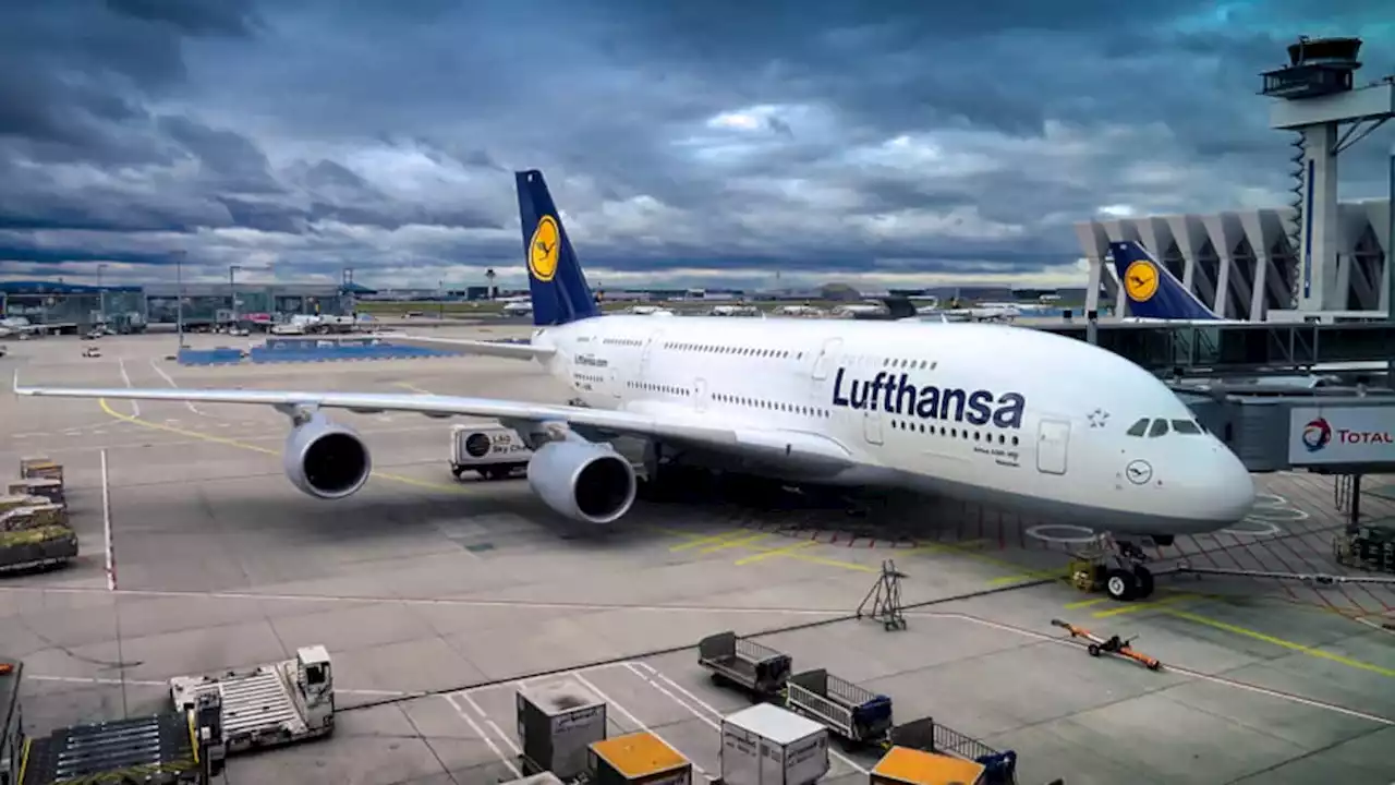 Lufthansa will nach Blockaden Schadenersatz von «Letzter Generation»