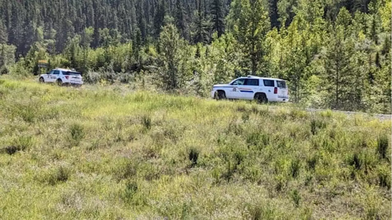 TSB officials start investigation into cause of deadly Alberta plane crash | CBC News