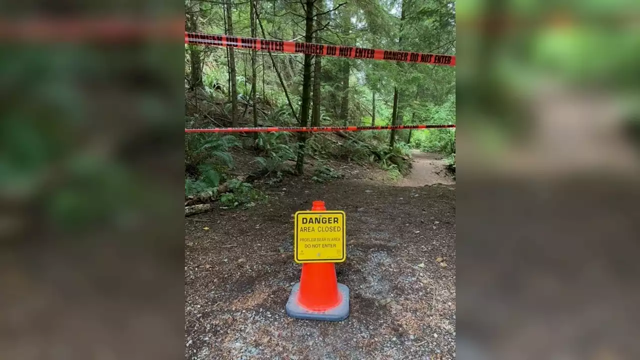 French Beach Park reopens days after bear rips tents, breaks into vehicles