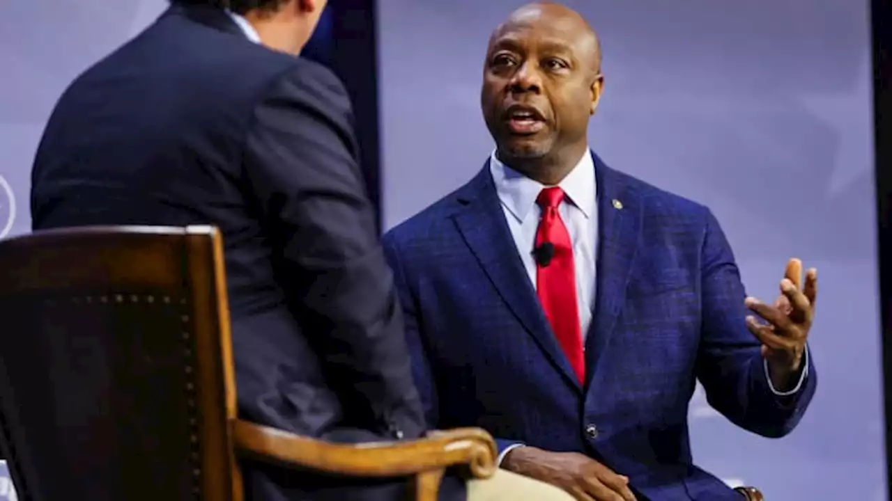 Peltz, Druckenmiller, Navarro give big to Tim Scott PACs as DeSantis falters