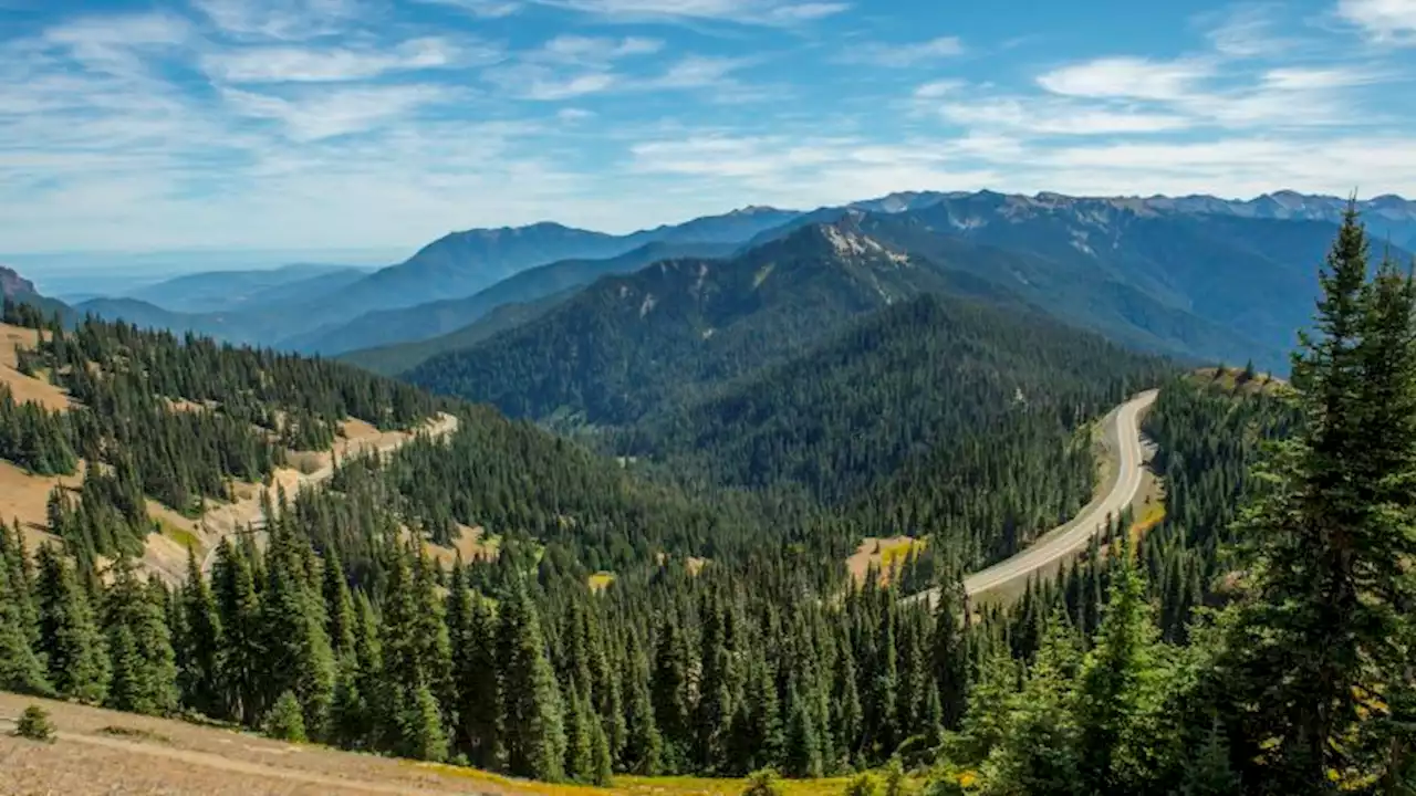 8-year-old survives 'extraordinarily rare' cougar attack near Washington's Lake Angeles | CNN