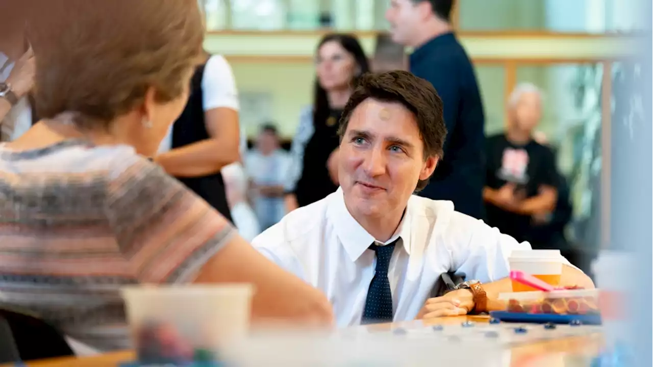 Trudeau appears at news conference with bandage after bumping head playing with his kids