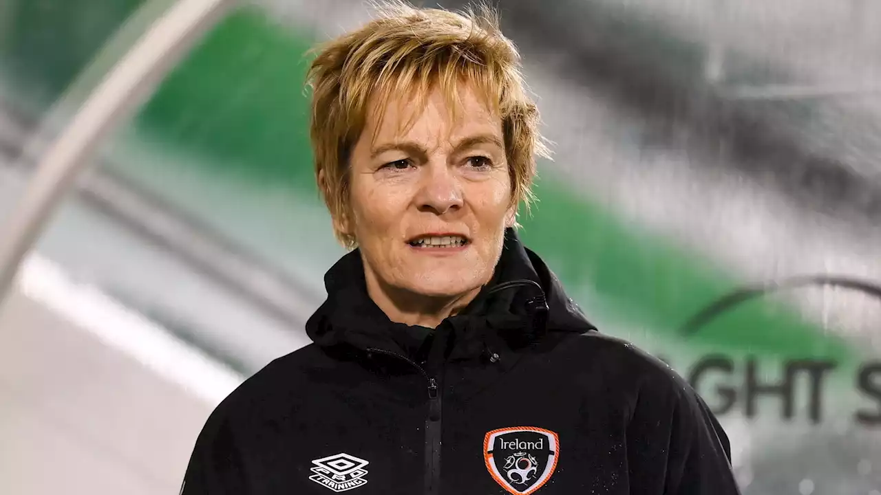 2023: We will play for pride against Super Falcons - Ireland coach, Pauw