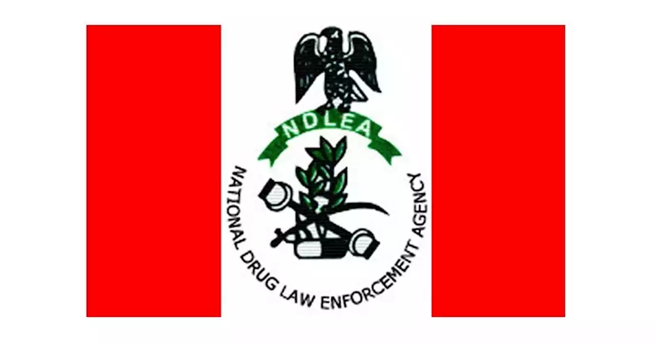 Showbiz promoter in NDLEA net for drug peddling at Lagos VIP clubs