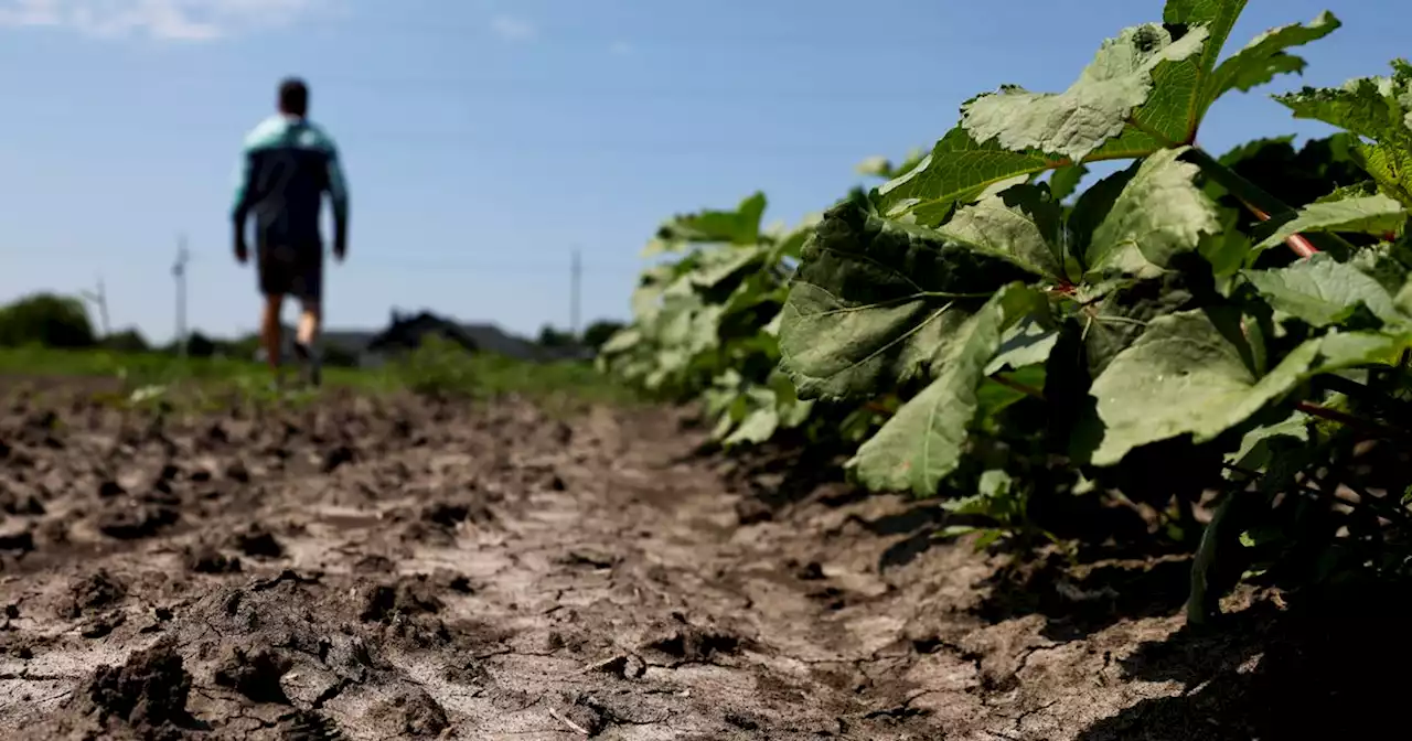 It is time to revisit the roots of our food system