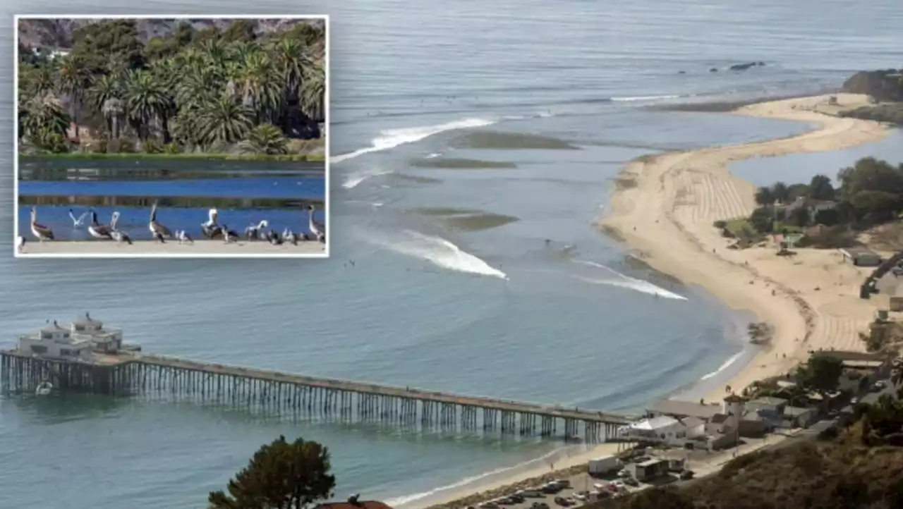 Body Found In 55-Gallon Drum At Malibu Lagoon