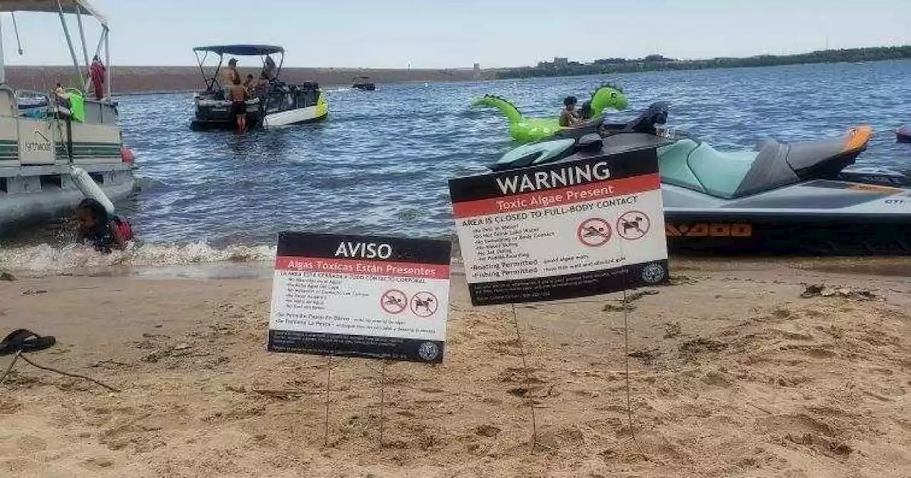 Toxic algae bloom forces closure of Cherry Creek Reservoir section