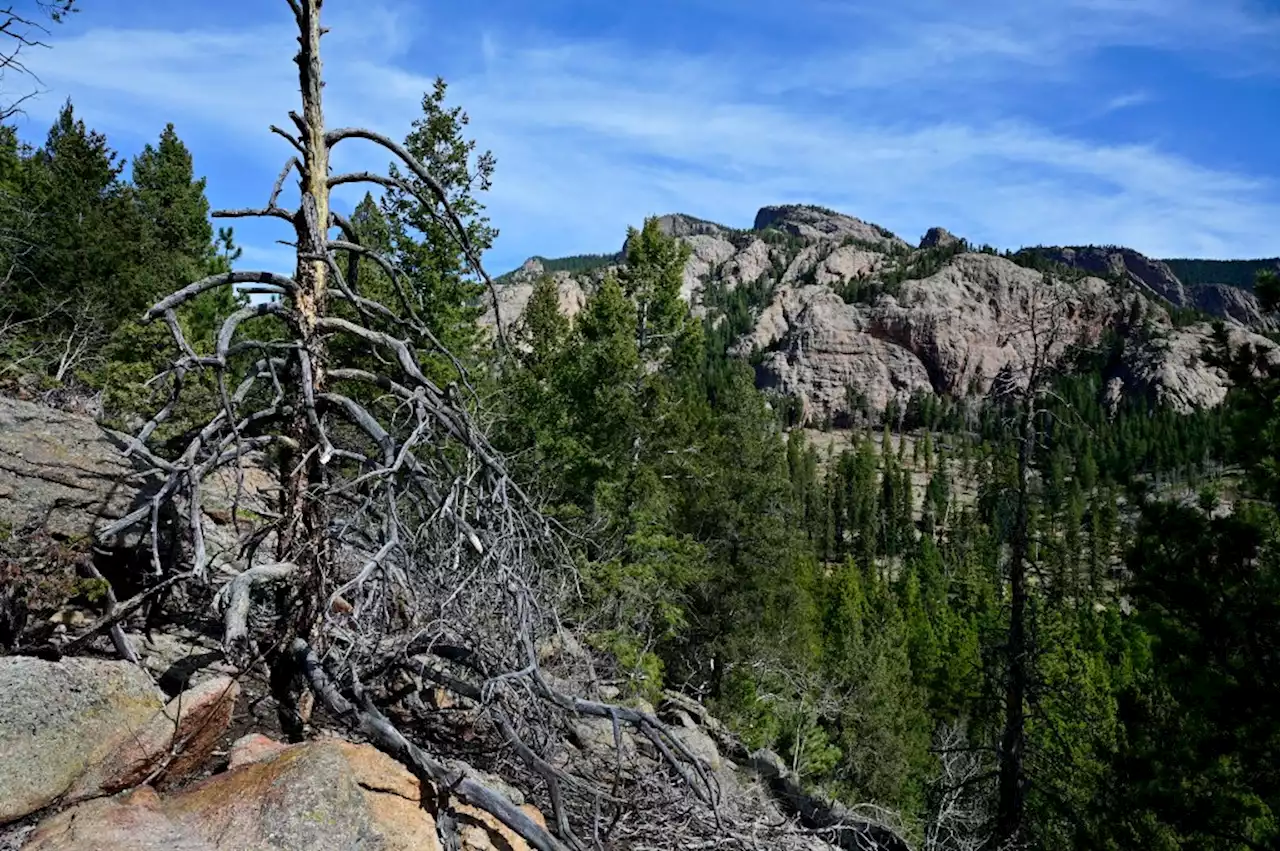 Colorado state parks will have free admission on Aug. 7