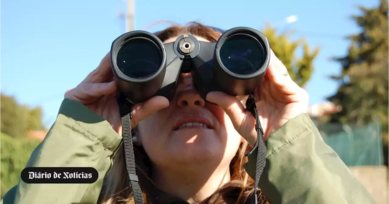 Vigilantes: essenciais para a natureza, invisíveis aos olhos do Estado