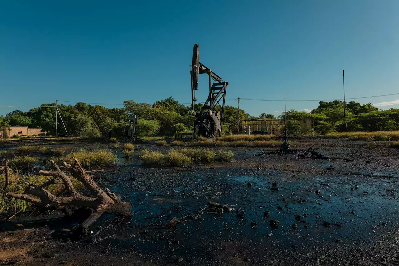 'No hay veneno que combata el petróleo': campesinos afectados por pozos en Venezuela