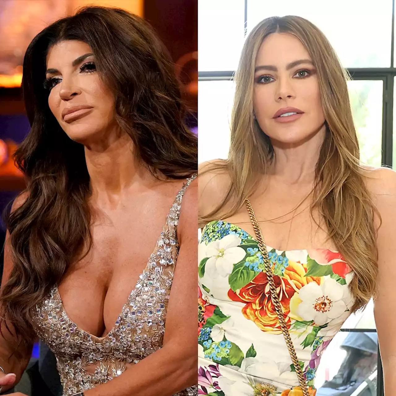 Teresa Giudice Calls Sofia Vergara 'Rudest Woman' She's Ever Met - E! Online