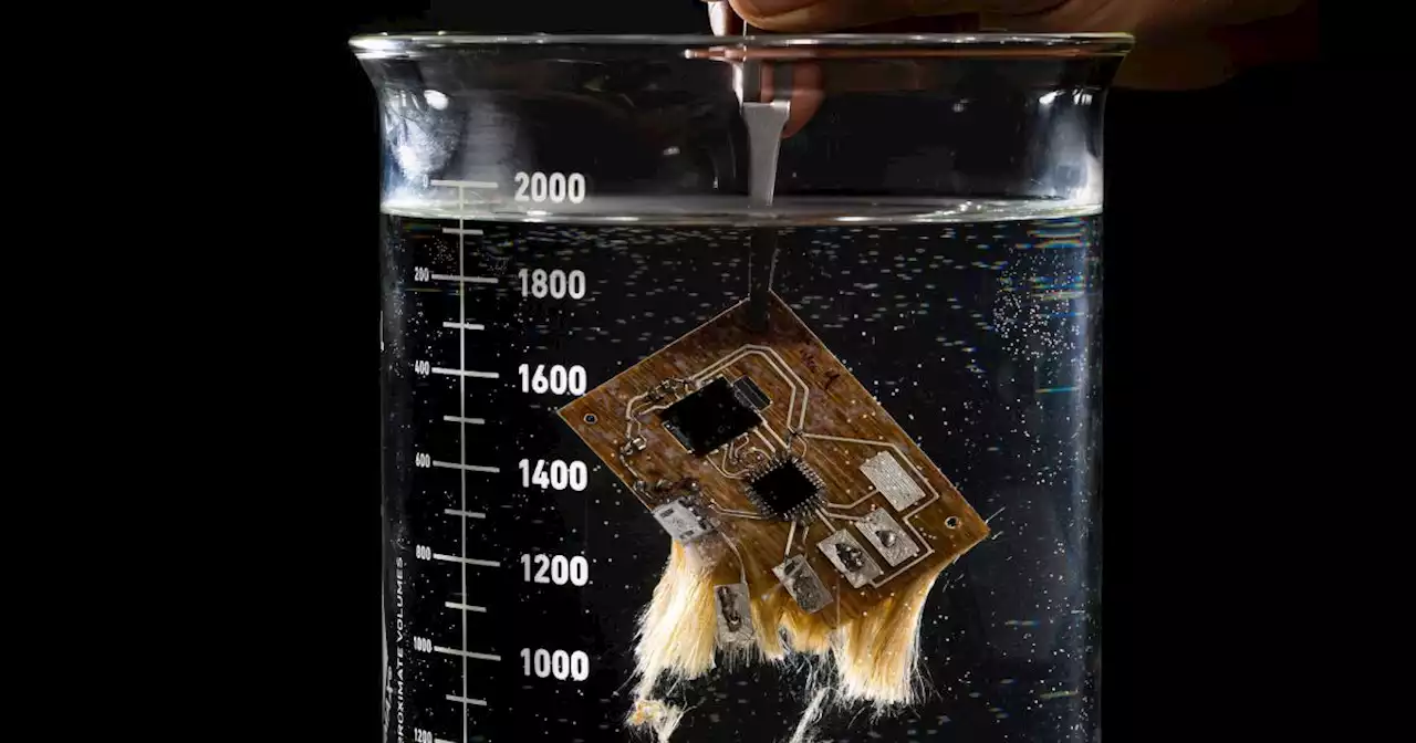 Water-soluble circuit boards could cut carbon footprints by 60 percent | Engadget