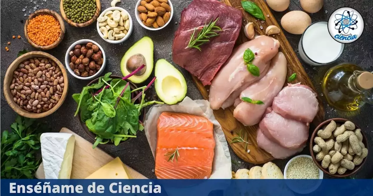 Estos Son Los Alimentos Con Mayor Contenido De Proteína Y Que Debes Incluir En Tu Dieta 3434