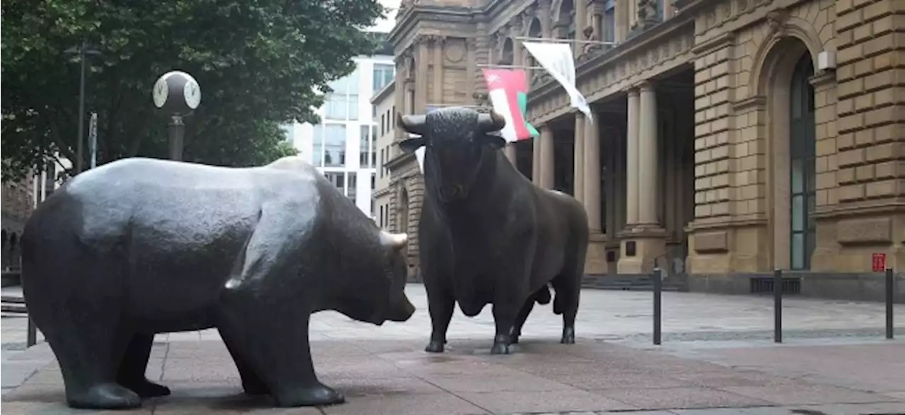 Bullen vs. Bären - Wie Experten eine mögliche Fortsetzung der Kursrally am Aktienmarkt bewerten